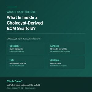 What Is Inside a Cholecyst-Derived ECM Scaffold?