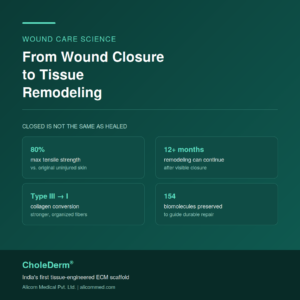 From Wound Closure to Tissue Remodeling: Redefining the Endpoint of Wound Care