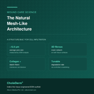 The Natural Mesh-Like Architecture of Cholecyst ECM