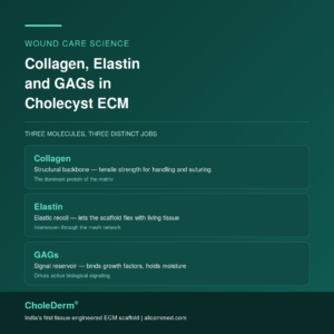 Collagen, Elastin and GAGs in Cholecyst ECM